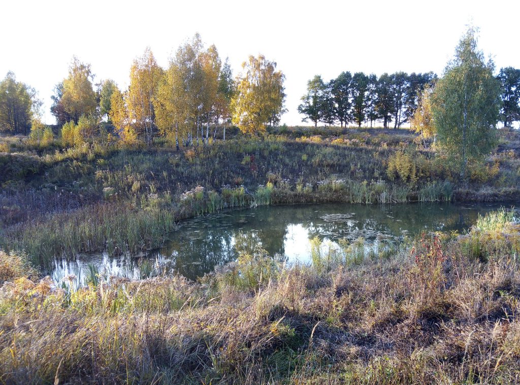Пруд в ландшафтном природном парке Мясново. Фото: Анненкова Ю.С.